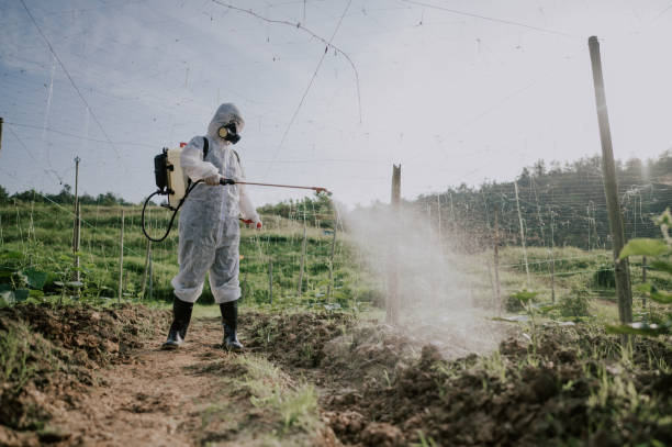 Pest Prevention Services in Fort Oglethorpe, GA