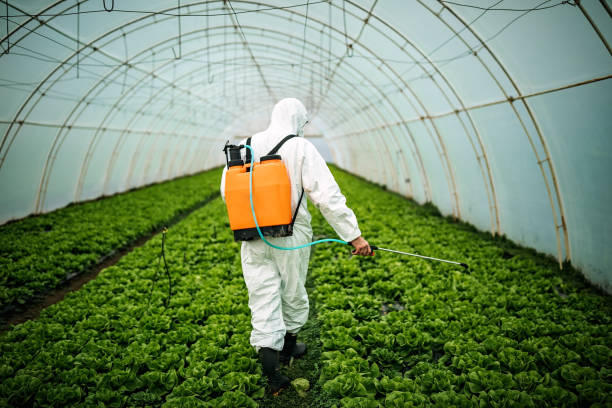 Pest Control Cost in Fort Oglethorpe, GA